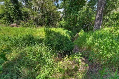 Land in Fish Hawk, Florida № 2142624 - photo 21