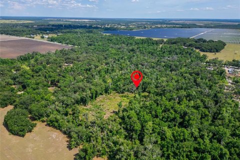 Land in Fish Hawk, Florida № 2142624 - photo 11