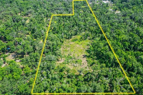 Land in Fish Hawk, Florida № 2142624 - photo 3