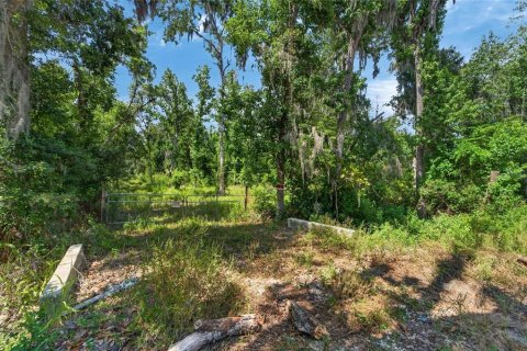 Land in Fish Hawk, Florida № 2142624 - photo 15