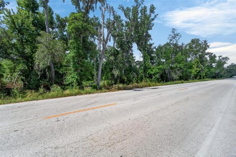 Land in Fish Hawk, Florida № 2142624 - photo 24
