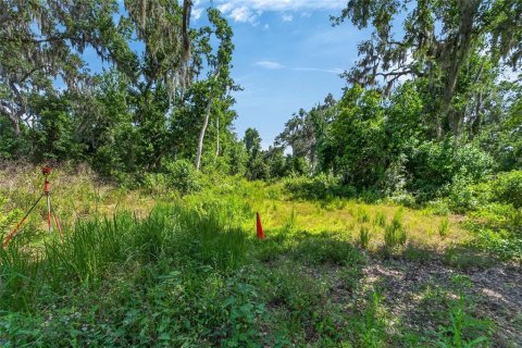 Land in Fish Hawk, Florida № 2142624 - photo 23