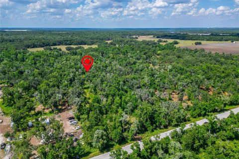 Land in Fish Hawk, Florida № 2142624 - photo 2