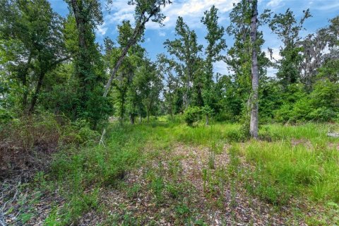 Land in Fish Hawk, Florida № 2142624 - photo 16