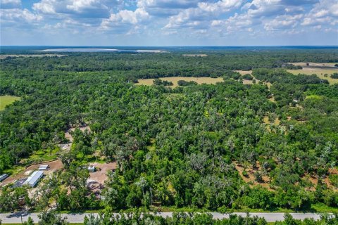 Land in Fish Hawk, Florida № 2142624 - photo 8