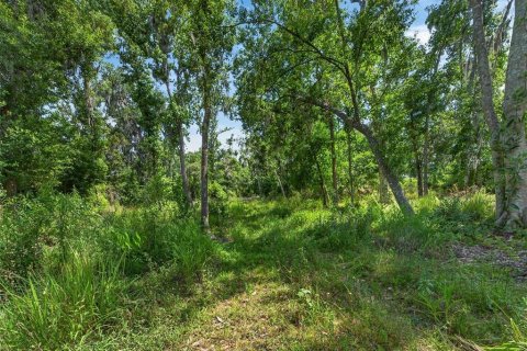 Land in Fish Hawk, Florida № 2142624 - photo 18