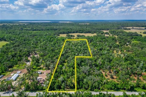 Land in Fish Hawk, Florida № 2142624