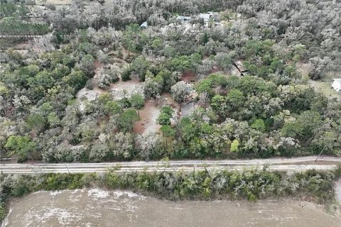 Casa en venta en Ocala, Florida, 3 dormitorios, 206.24 m2 № 1918669 - foto 29
