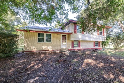 House in Avon Park, Florida 4 bedrooms, 197.32 sq.m. № 2427080 - photo 3