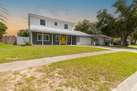 House in Brandon, Florida 4 bedrooms, 226.59 sq.m. № 2366836