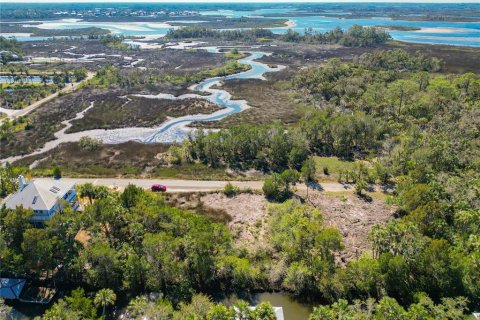 Land in Crystal River, Florida № 1880003 - photo 16