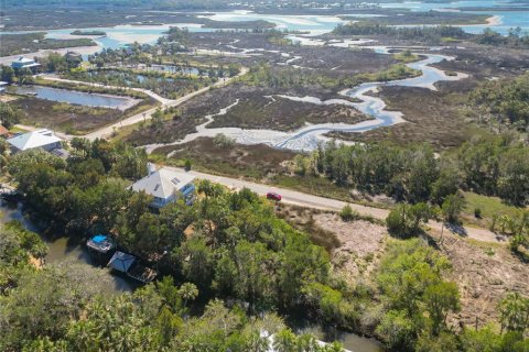 Land in Crystal River, Florida № 1880003 - photo 1