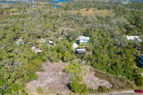 Land in Crystal River, Florida № 1880003 - photo 6