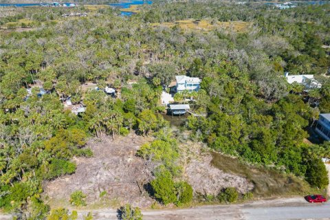 Land in Crystal River, Florida № 1880003 - photo 4