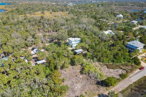 Land in Crystal River, Florida № 1880003 - photo 7