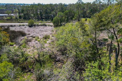 Land in Crystal River, Florida № 1880003 - photo 9