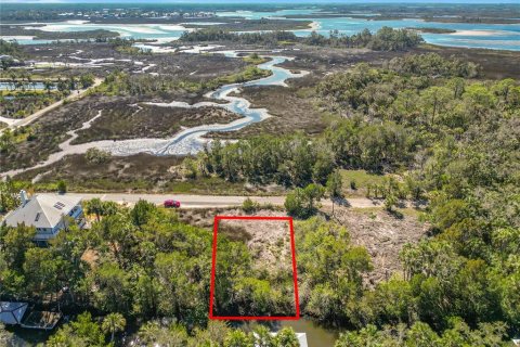 Land in Crystal River, Florida № 1880003 - photo 17