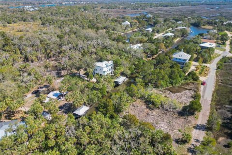 Land in Crystal River, Florida № 1880003 - photo 11