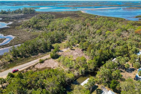 Land in Crystal River, Florida № 1880003 - photo 18