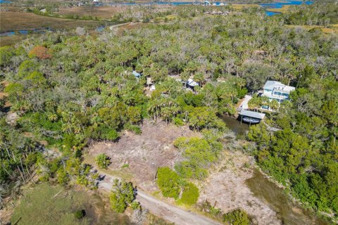 Land in Crystal River, Florida № 1880003 - photo 3
