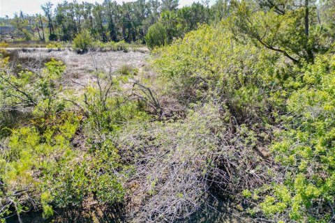 Land in Crystal River, Florida № 1880003 - photo 10