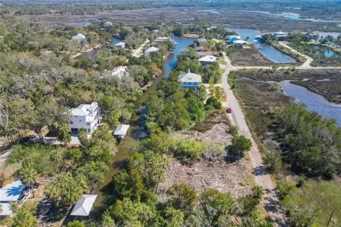 Land in Crystal River, Florida № 1880003 - photo 12