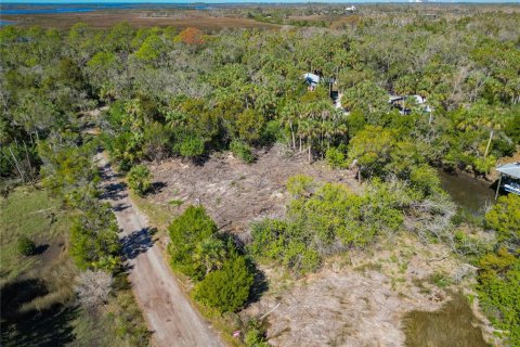 Land in Crystal River, Florida № 1880003 - photo 2