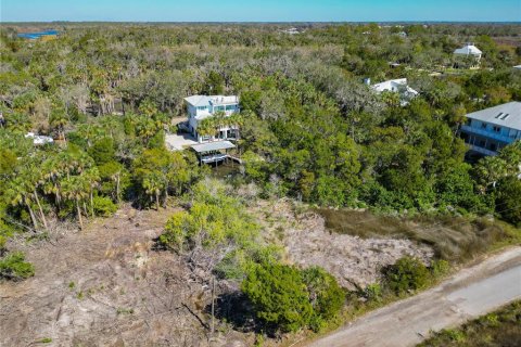 Land in Crystal River, Florida № 1880003 - photo 8