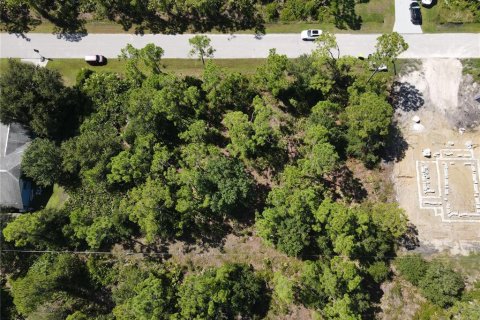 Land in Punta Gorda, Florida № 2161734 - photo 9
