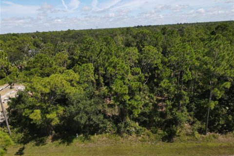 Land in Punta Gorda, Florida № 2161734 - photo 10