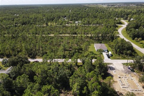 Land in Punta Gorda, Florida № 2161734 - photo 8
