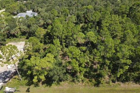 Land in Punta Gorda, Florida № 2161734 - photo 11