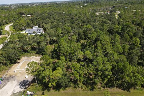 Land in Punta Gorda, Florida № 2161734 - photo 12