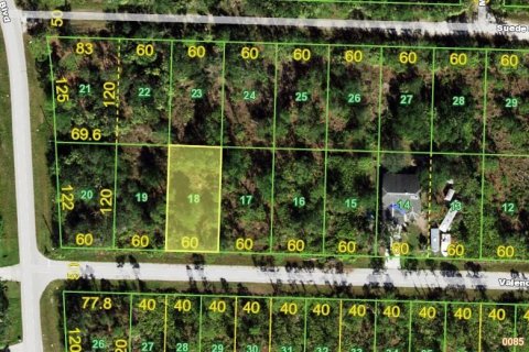 Land in Punta Gorda, Florida № 2161734 - photo 2