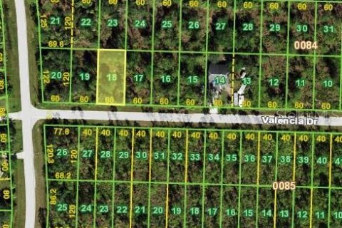 Land in Punta Gorda, Florida № 2161734 - photo 4
