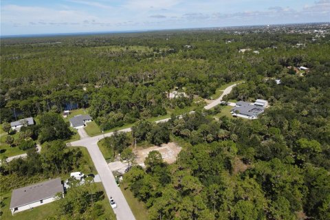 Land in Punta Gorda, Florida № 2161734 - photo 6