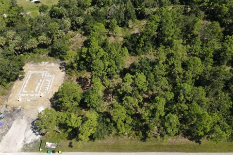 Land in Punta Gorda, Florida № 2161734 - photo 3