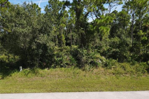 Land in Punta Gorda, Florida № 2161734