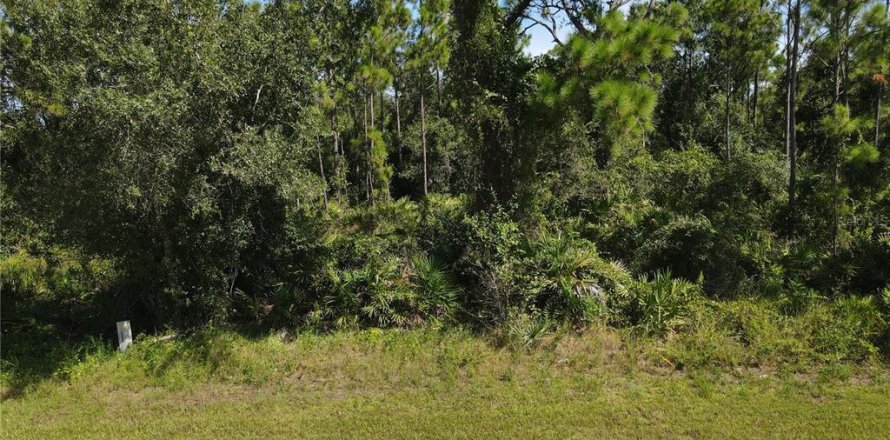 Land in Punta Gorda, Florida № 2161734