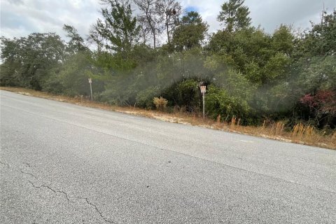 Terreno en Ocala, Florida № 2106381
