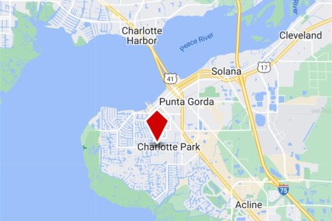 Land in Punta Gorda, Florida № 1400619 - photo 4