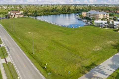 Land in Punta Gorda, Florida № 1400619 - photo 7