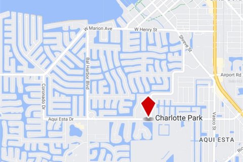 Land in Punta Gorda, Florida № 1400619 - photo 3