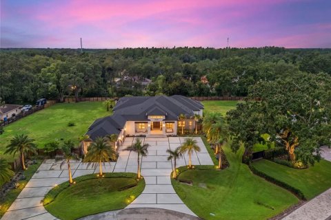 Villa ou maison à vendre à Lutz, Floride: 5 chambres, 570.33 m2 № 2358766 - photo 5