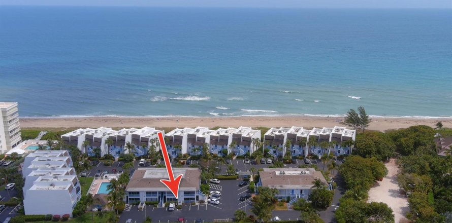 Condo in Jensen Beach, Florida, 1 bedroom  № 2242280