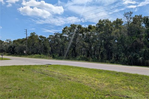 Land in Hudson, Florida № 1673795 - photo 1
