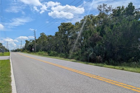 Land in Hudson, Florida № 1673795 - photo 3