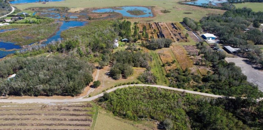 Land in Clermont, Florida № 1581241