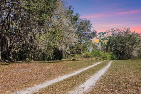 Land in Clermont, Florida № 1581241 - photo 8