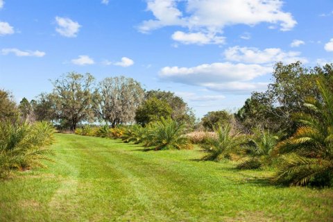 Land in Clermont, Florida № 1581241 - photo 14